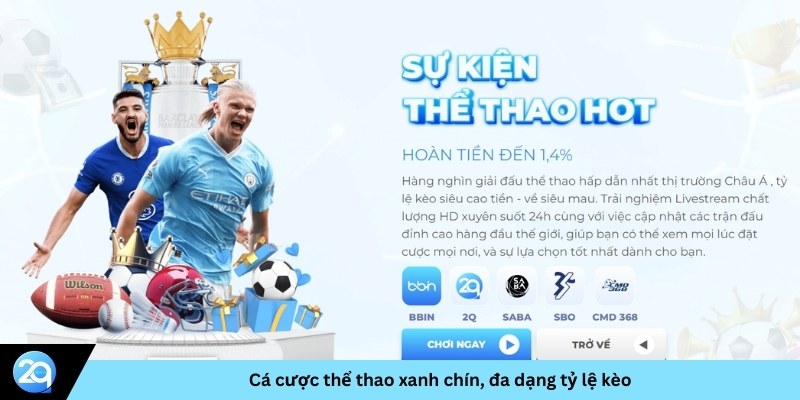 sân chơi cá cược thể thao chuyên nghiệp